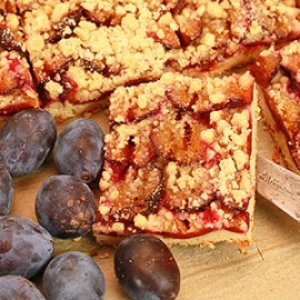 Bäumchen schüttel dich – ZWETSCHGENZEIT! Bäumchen schüttel dich – ZWETSCHGENZEIT!