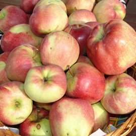 APFELKUCHEN – der Klassiker!