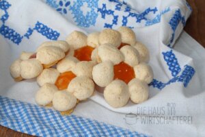 Rezept Weihnachtsplätzchen